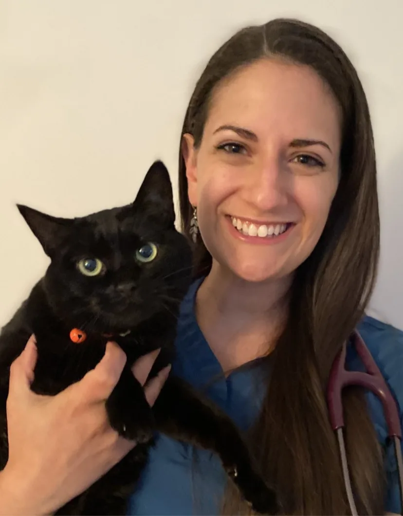Dr. Anastasia Bredienbaugh holding a cat